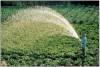 irrigação